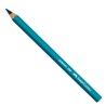 MATITA 698 ESAGONALE JUMBO MINA BLU X ALIMENTI FABER CASTELL - Conf da 12 pz.