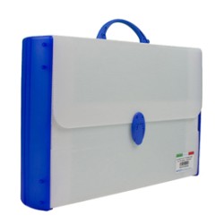 VALIGETTA POLIONDA 28X43X8,5 DORSO RIGIDO (254-R)