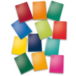 MAXIQUADERNO A4 40fg+2 80gr bianco MONOCROMO PIGNA - Conf da 10 pz.