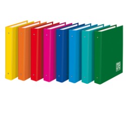 RACCOGLITORE 4 ANELLI 30 26X32CM ONE COLOR 2400 BLASETTI - Conf da 6 pz.