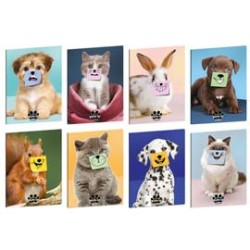 Maxiquaderno A4 20fg+1 80gr 4mm c/margine Pets-IT Blasetti - Conf da 10 pz.