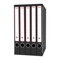 Gruppo raccoglitori Qunitetto c/cartelle 25x35cm dorso 23,5cm Rexel