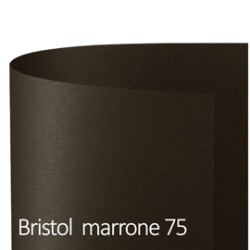 Conf.10 cartoncino Bristol Color 200gr 100x70cm marrone 75 Favini