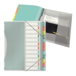 Libro monitore con 12 divisori multicolore ColourIce Esselte