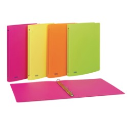 Raccoglitore PPL 22x30mm 4R dorso 15 colori assortiti neon Favorit - Conf da 20 pz.