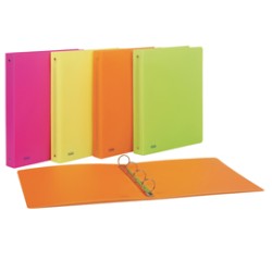 Raccoglitore PPL 22x30mm 4R dorso 30 colori assortiti neon Favorit - Conf da 10 pz.