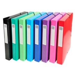 Scatola archivio box Iderama dorso 40mm A4 col ass. Exacompta - Conf da 8 pz.