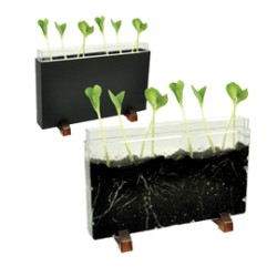 Contenitore Esplora il sottosuolo dim. 30x19x4cm Cwr